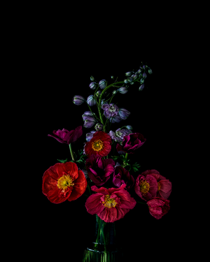 The Masters - Golden Age | Helen Bankers Photography