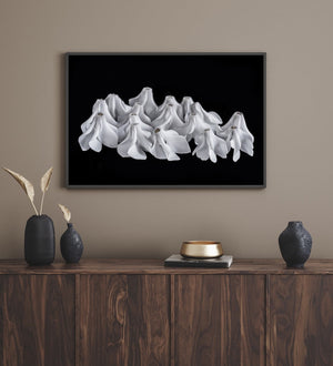 "Helen Bankers" "Photographer" "Helen Bankers Photographer" "Photography" "Photographic Art" "Still life" "Female Artist" "Auckland" "New Zealand" "Floral Art" "Artwork" "Flowers" "Botanical" "Home Decor" "Interior Design" "Sculpture" "Cyclamen"