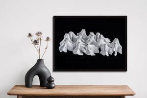 "Helen Bankers" "Photographer" "Helen Bankers Photographer" "Photography" "Photographic Art" "Still life" "Female Artist" "Auckland" "New Zealand" "Floral Art" "Artwork" "Flowers" "Botanical" "Home Decor" "Interior Design" "Sculpture" "Cyclamen"