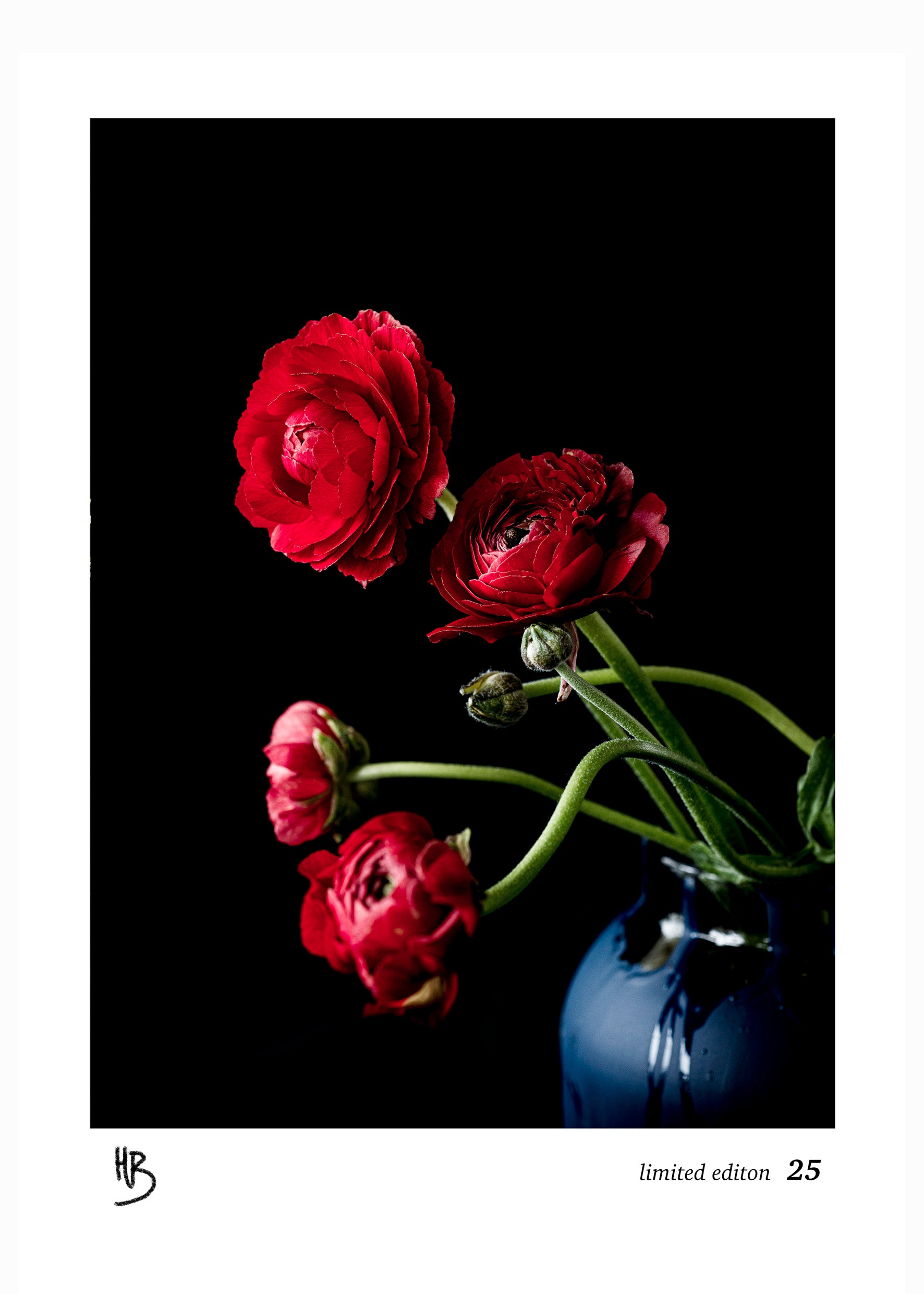 "linen" "linen tea towel" "art" "edition" "artist edition" "red" "Floral" "Flowers" "ranuculas" "red flowers" "limited edition" "Helen Bankers" "Artist" "Photographer"
