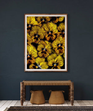 "Helen Bankers" "Photographer" "Helen Bankers Photographer" "Photography" "Photographic Art" "Still life" "Female Artist" "Auckland" "New Zealand" "Floral Art" "Artwork" "Flowers" "Botanical" "Home Decor" "Interior Design" "Yellow"