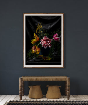 "Helen Bankers" "Photographer" "Still life" "Helen Bankers Photographer" "Photography" "Photographic Art" "Still life" "Female Artist" "Auckland" "New Zealand" "Floral Art" "Artwork" "Flowers" "Botanical" "Home Decor" "Interior Design" "Tulips" "Parrot Tulips" "Rimu" "NZ Made"