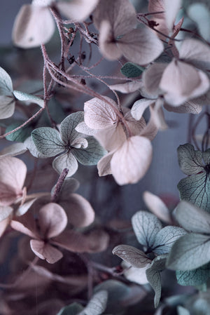 Atlantis Series - The One Hydrangea by Helen Bankers