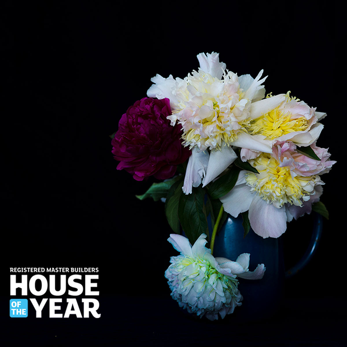 House of the Year 'Light & Dark'