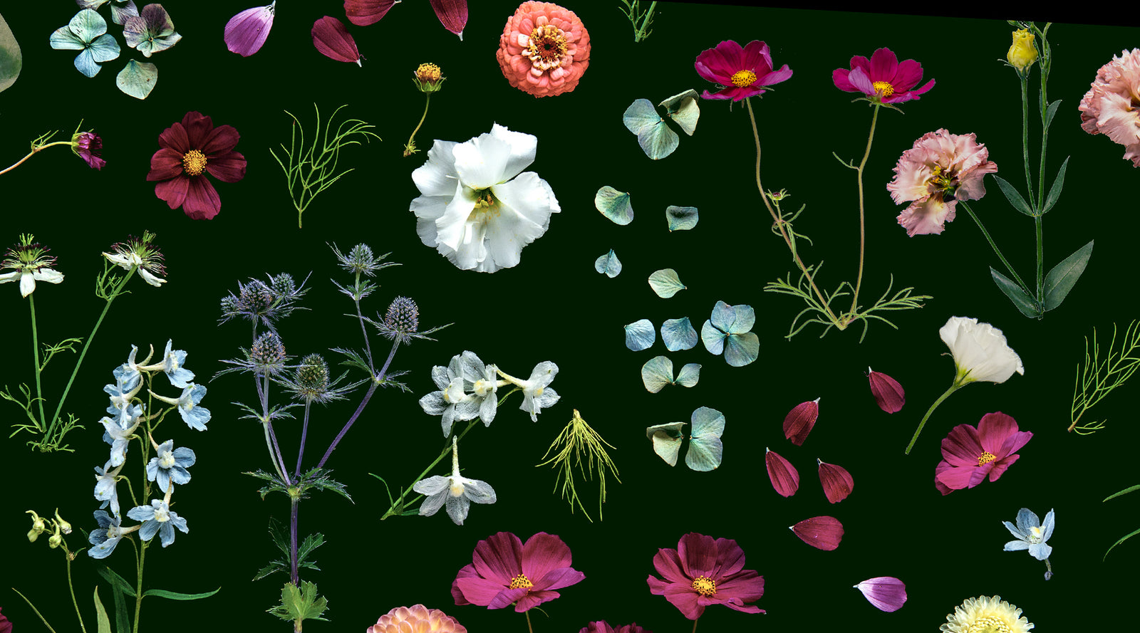 #HB Cushions Country Garden by Helen Bankers