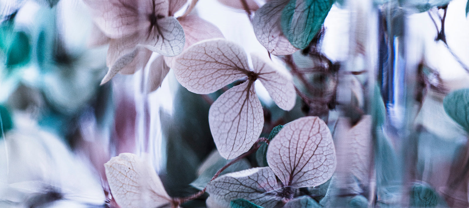 #Atlantis Series - Behind Glass by Helen Bankers