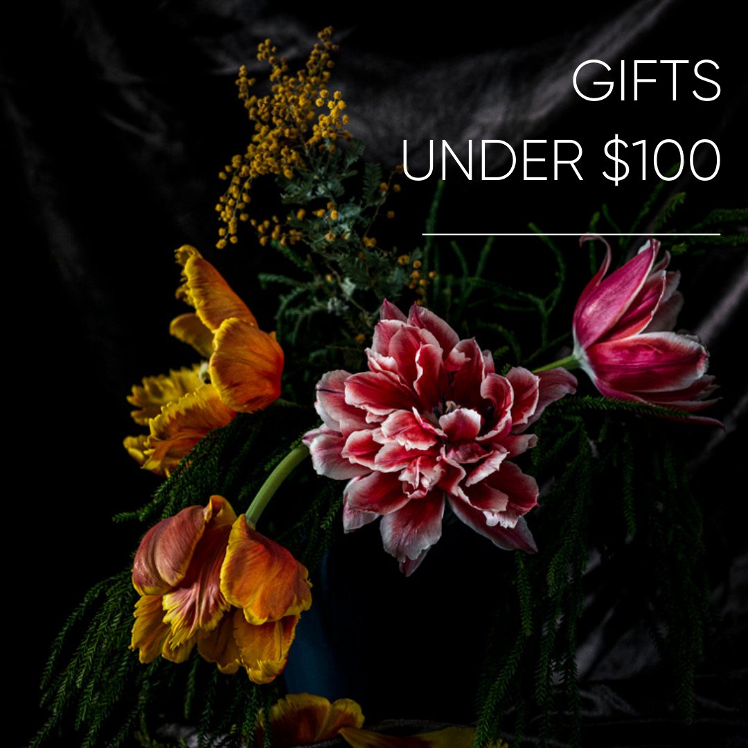Gifts Under $100