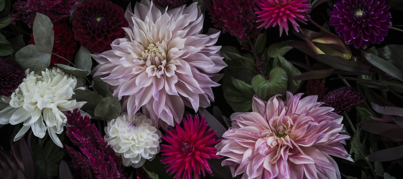 #HB Accessories Dark Dahlia by Helen Bankers