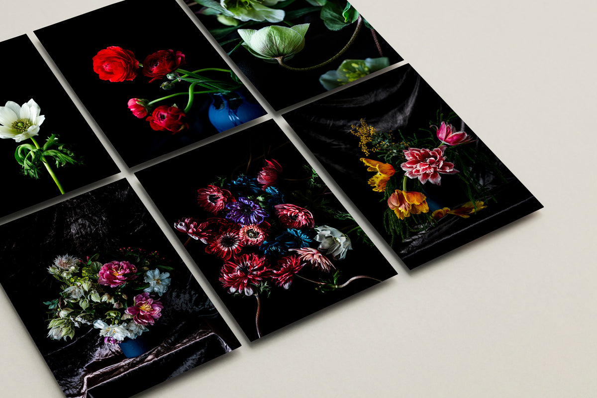 "Floral Greeting Cards" "Flowers" "Helen Bankers Visual Artist" "Greeting Card"