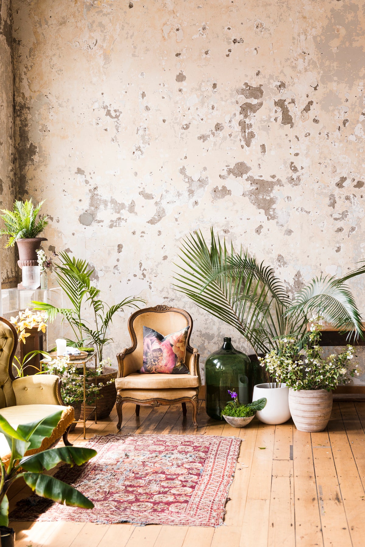 Lifestyle Interior Cushion | Helen Bankers