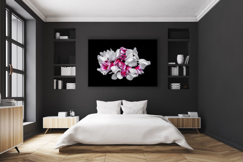 "Helen Bankers" "Photographer"  "Helen Bankers Photographer" "Photography" "Photographic Art" "Still life" "Female Artist" "Auckland"  "New Zealand" "Floral Art" "Artwork" "Flowers" "Botanical" "Home Decor" "Interior Design" "Cyclamen"