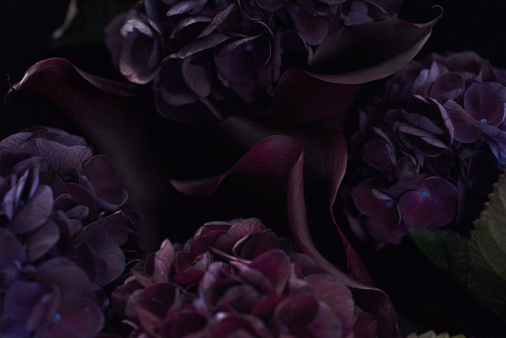 The Masters - The Darkness Vol 1 | Helen Bankers Photography