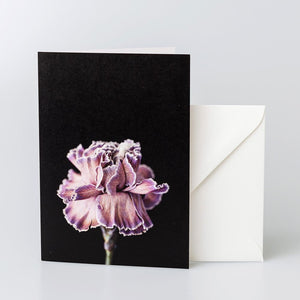 Greeting Card Double Carnation