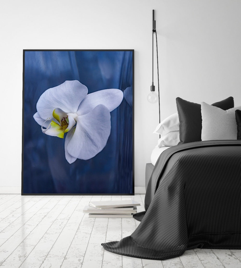 Atlantis Series- Falling Orchid by Helen Bankers