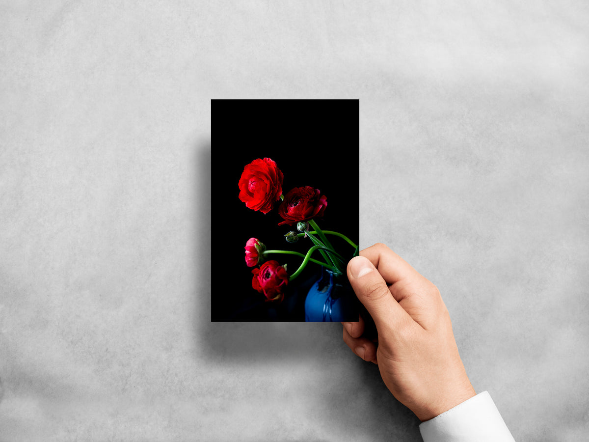 "Helen Bankers Visual Artist" "Greeting Cards" "Floral Cards" "Floral Art"  "Ranuncula" "Red" "Flowers"