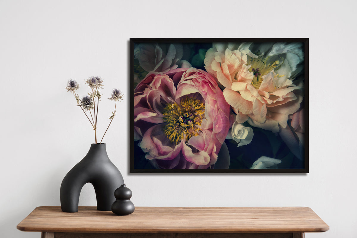 "The Masters" "Peonies" "Helen Bankers" "Photographer" "Helen Bankers Photographer" "Photography" "Photographic Art" "Still life" "Female Artist" "Auckland" "New Zealand" "Floral Art" "Artwork" "Flowers" "Botanical" "Home Decor" "Interior Design" "Peonies" "Helen Bankers Photography"