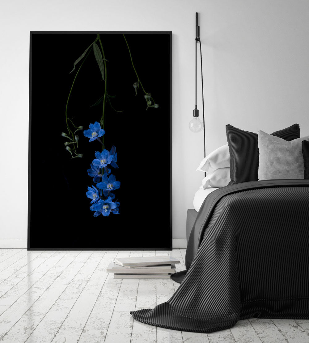 The Masters - Delphinium x Belladonna by Helen Bankers Photographer