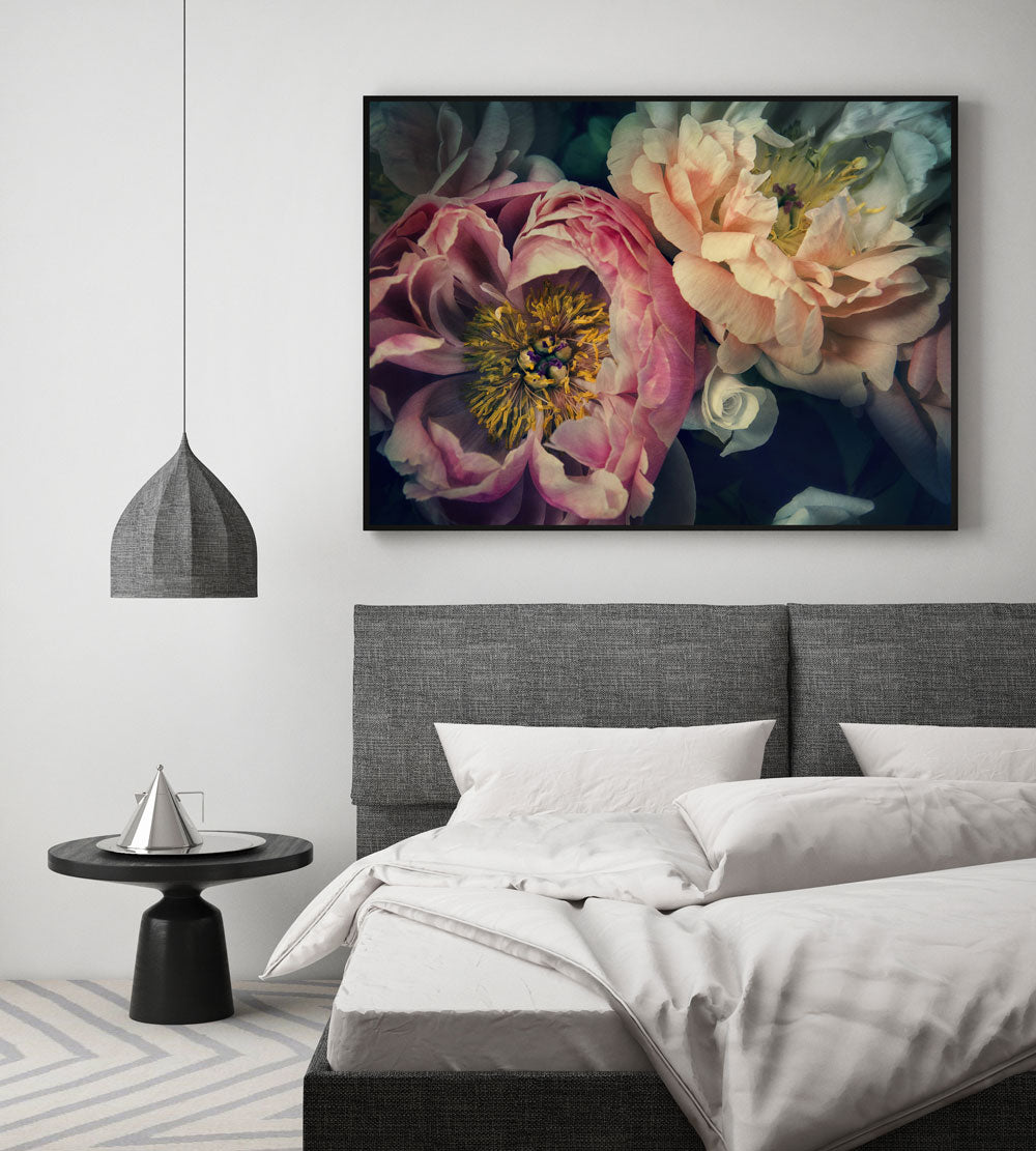 "The Masters" "Peonies" "Helen Bankers" "Photographer" "Helen Bankers Photographer" "Photography" "Photographic Art" "Still life" "Female Artist" "Auckland" "New Zealand" "Floral Art" "Artwork" "Flowers" "Botanical" "Home Decor" "Interior Design" "Peonies" "Helen Bankers Photography"