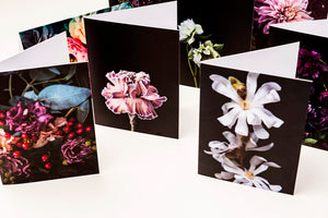 HB Collection of Floral Greeting Cards Set - mix of all 10 designs