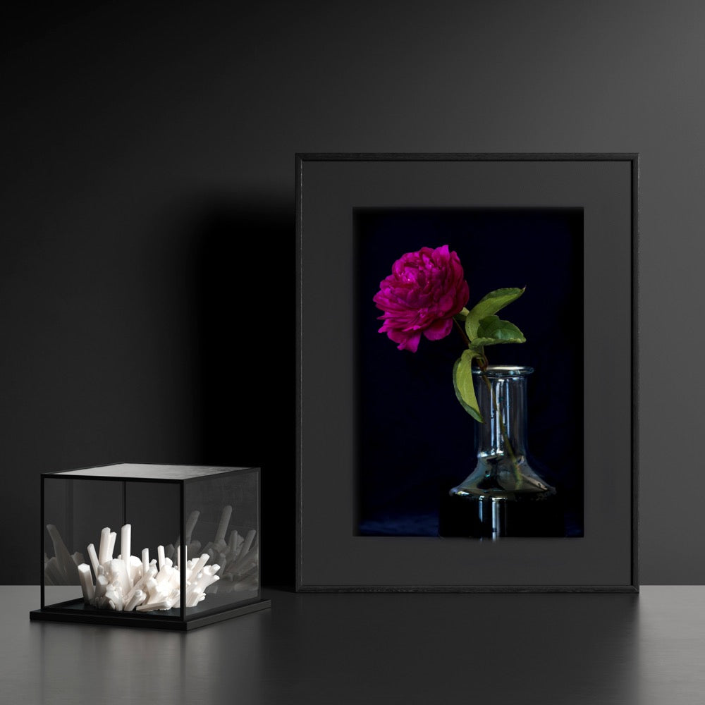 Crimson Peony by Helen Bankers