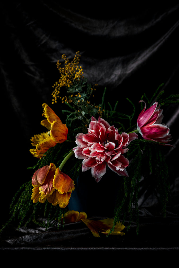 "Helen Bankers" "Photographer" "Still life" "Helen Bankers Photographer" "Photography" "Photographic Art" "Still life" "Female Artist" "Auckland" "New Zealand" "Floral Art" "Artwork" "Flowers" "Botanical" "Home Decor" "Interior Design" "Tulips" "Parrot Tulips" "Rimu" "NZ Made"