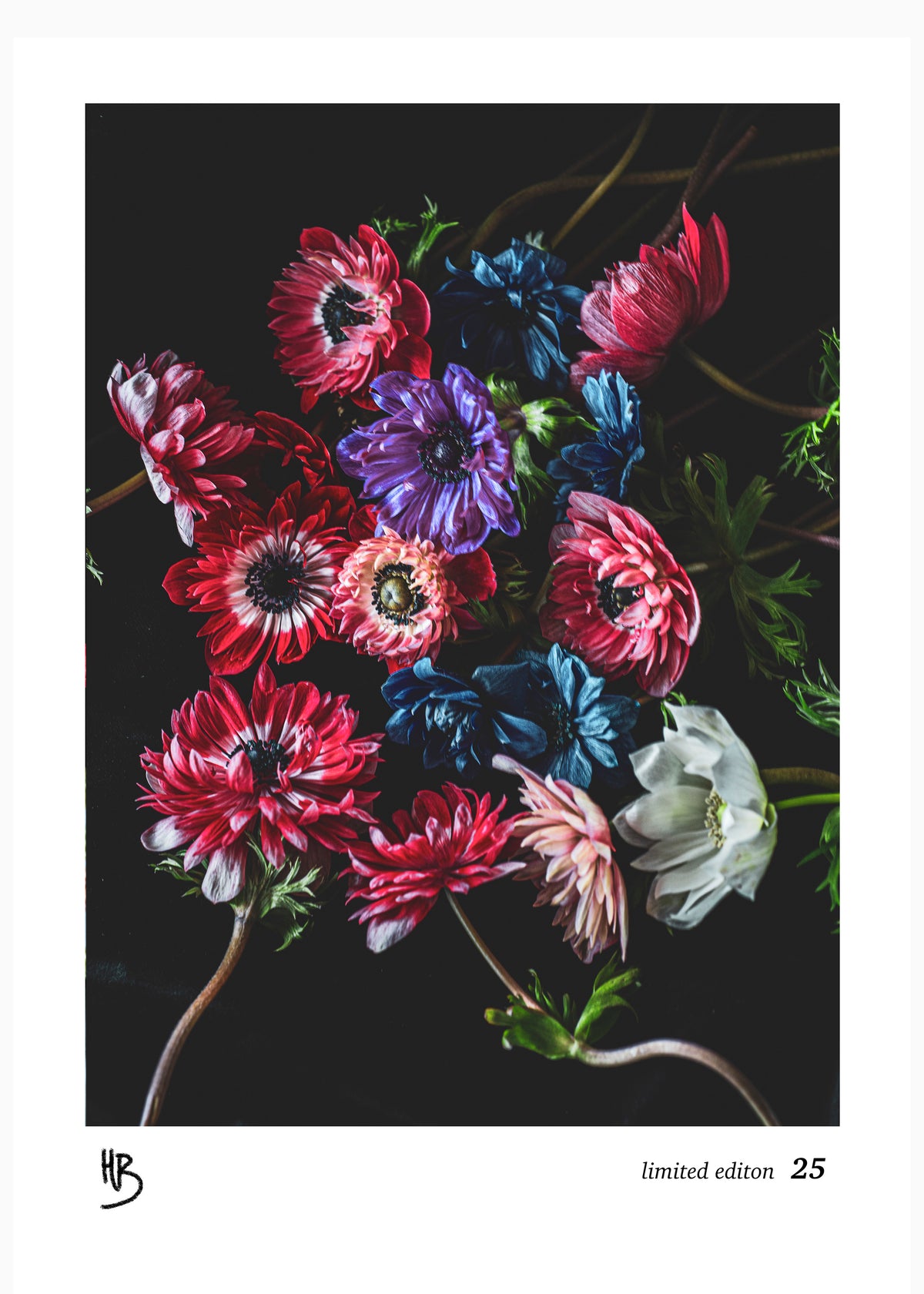 "botanicals" "fabric art" "linen" "linen tea towel" "art" "edition" "artist edition" "Anemones Flower" "Floral" "Flowers" "anemones" "flower art" "limited edition" "Helen Bankers" "Artist" "Photographer" "fabric art" "fabric pieces"