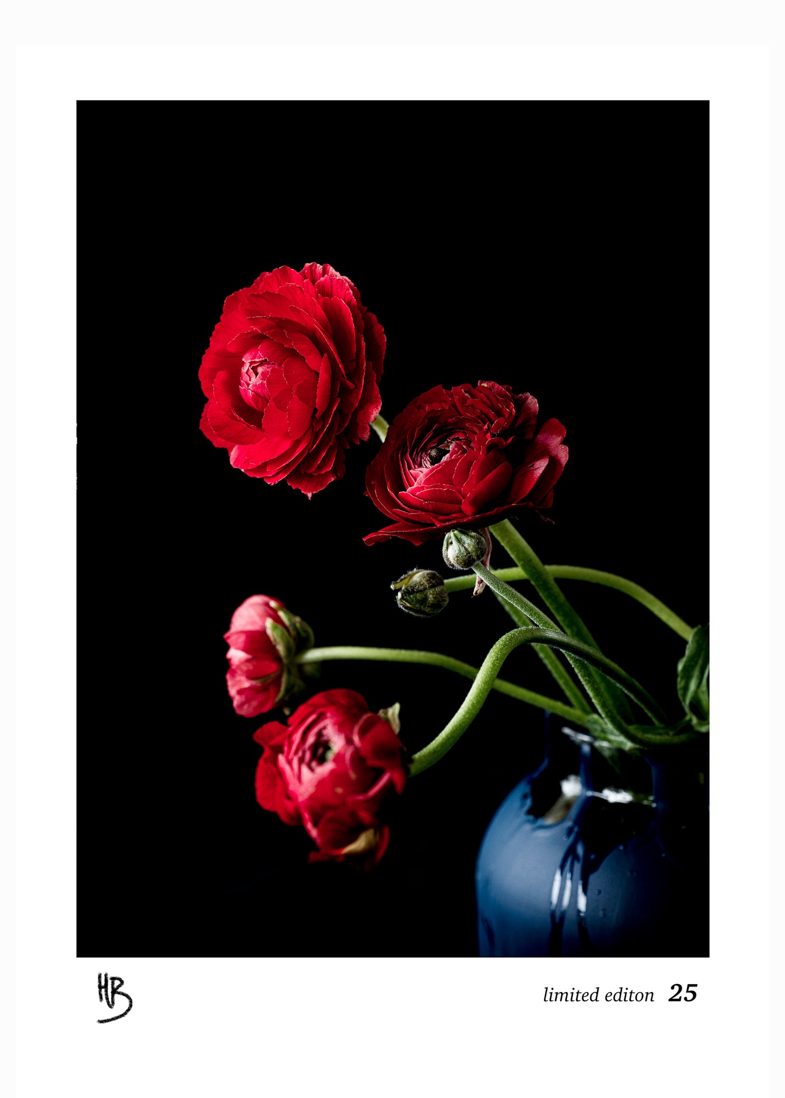 "linen" "linen tea towel" "art" "edition" "artist edition" "red" "Floral" "Flowers" "ranuculas" "red flowers" "limited edition" "Helen Bankers" "Artist" "Photographer"