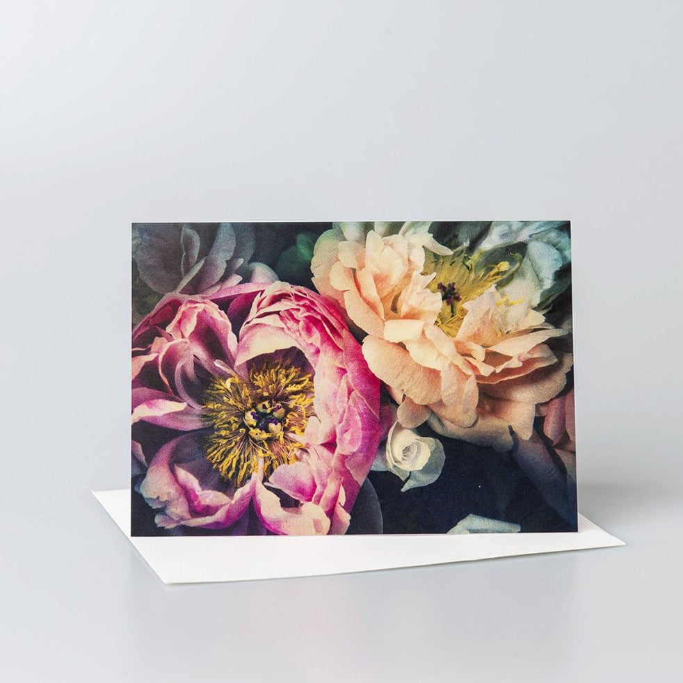 Greeting Card Peonies