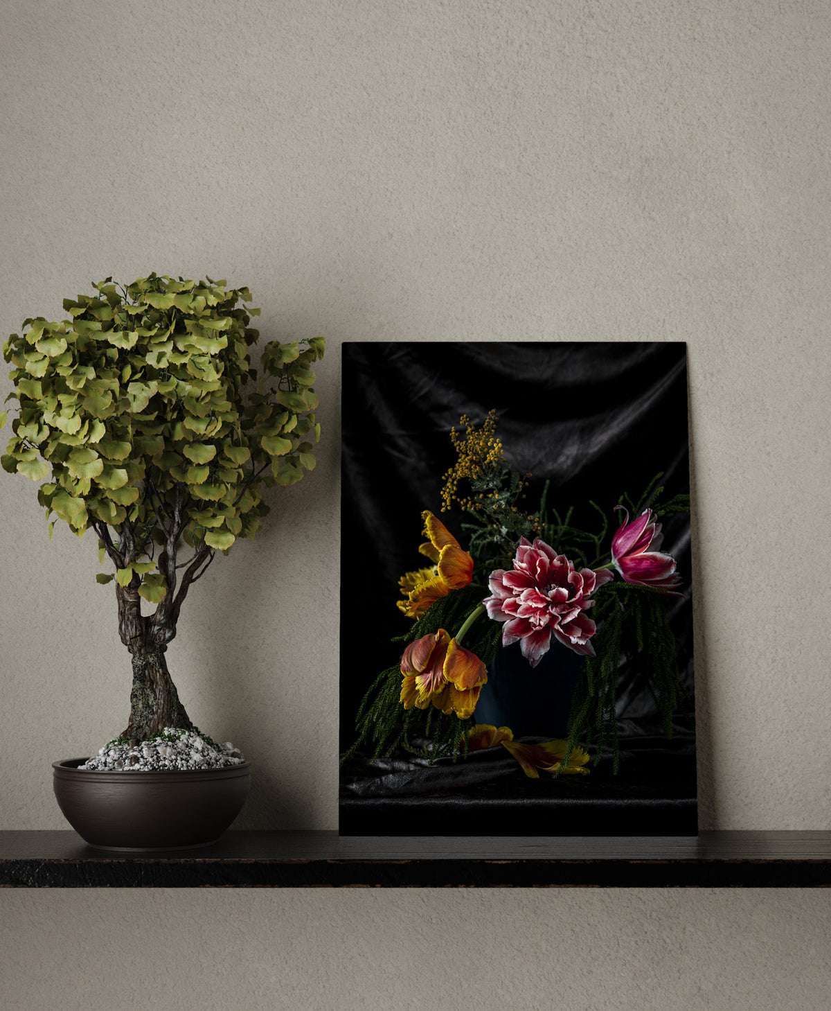 "Helen Bankers" "Photographer" "Still life" "Helen Bankers Photographer" "Photography" "Photographic Art" "Still life" "Female Artist" "Auckland" "New Zealand" "Floral Art" "Artwork" "Flowers" "Botanical" "Home Decor" "Interior Design" "Tulips" "Parrot Tulips" "Rimu" "NZ Made"