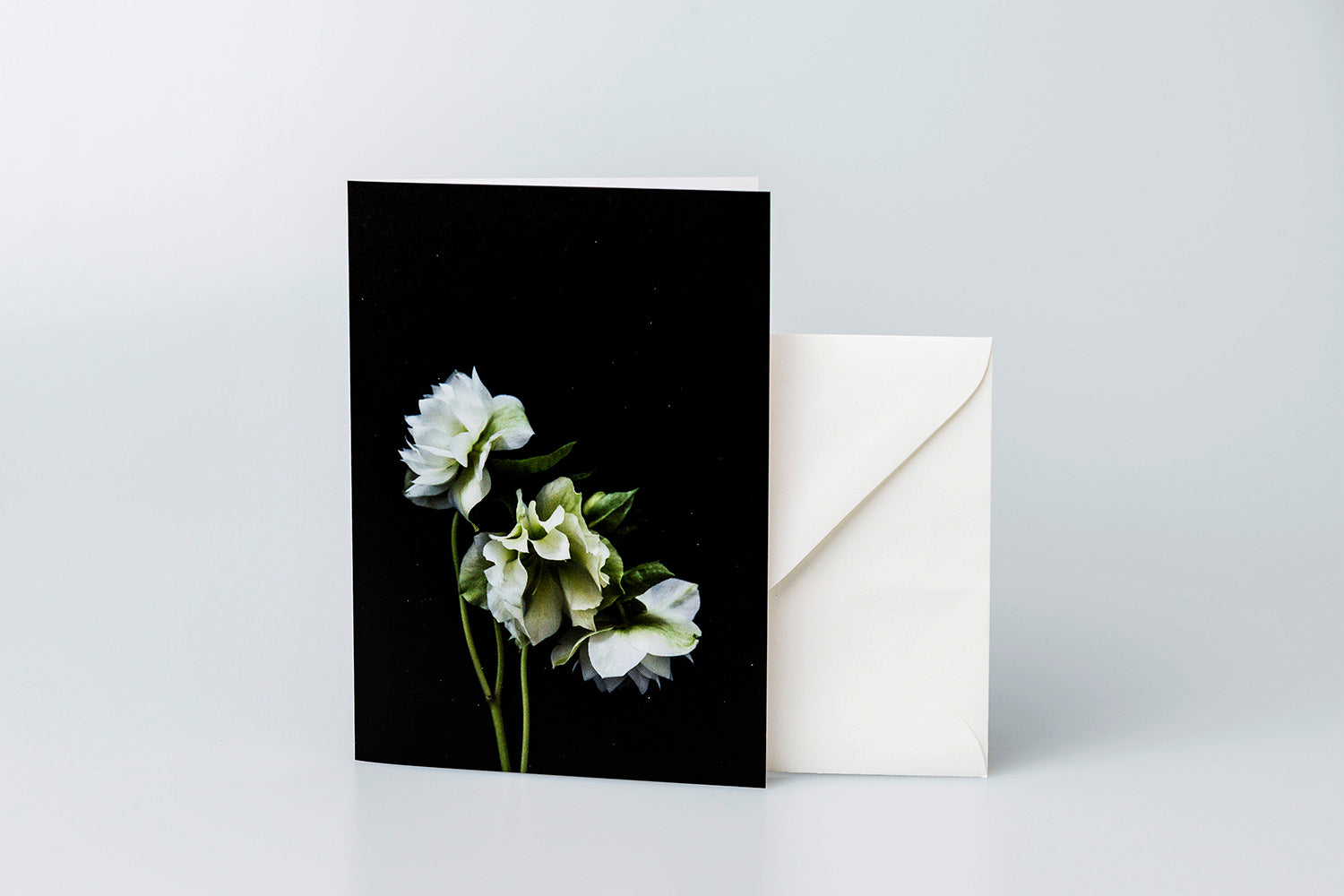White Hellebores Greeting Card